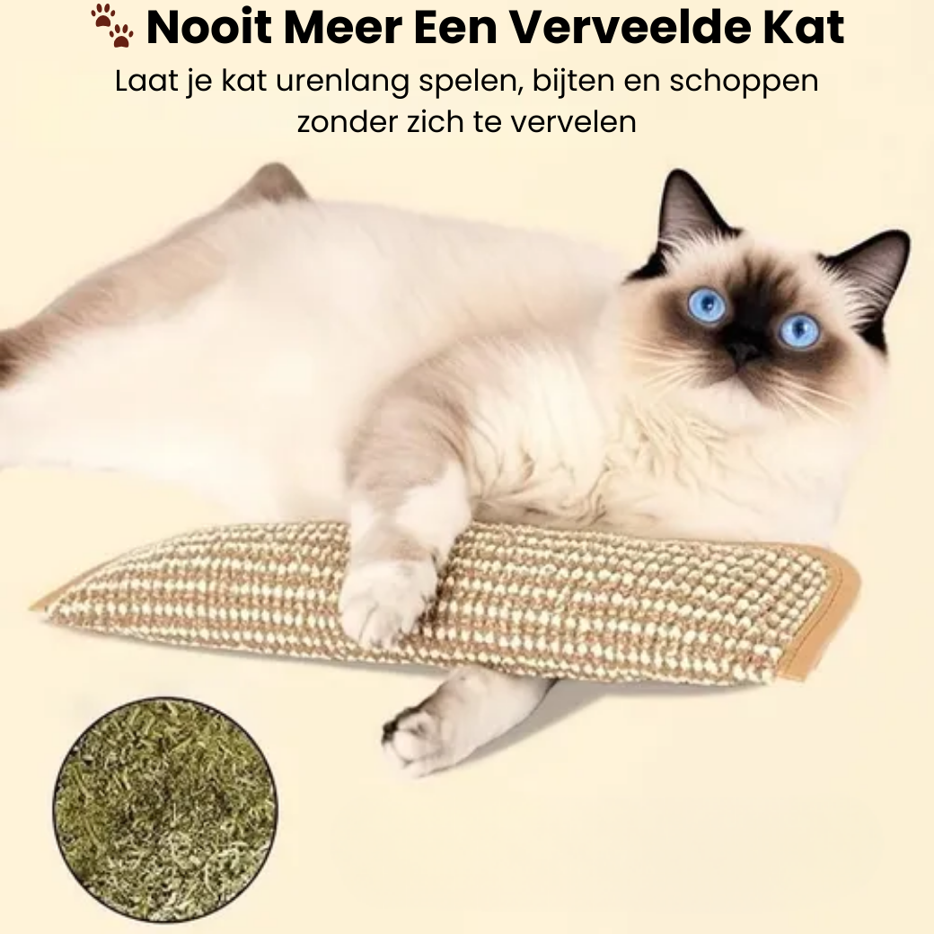 Kattenkruid Speel & Bijt Kussen