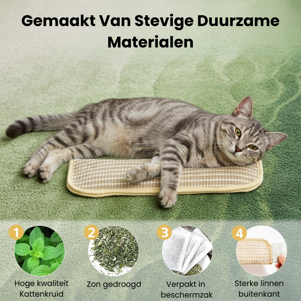 Katten Speel & Bijt Kussen - Set van 3 stuks