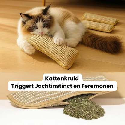 Katten Speel & Bijt Kussen - Set van 3 stuks