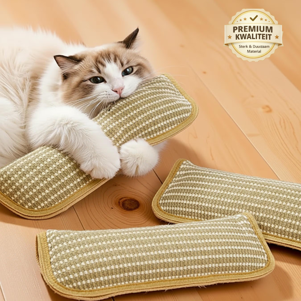 Katten Speel & Bijt Kussen - Set van 3 stuks