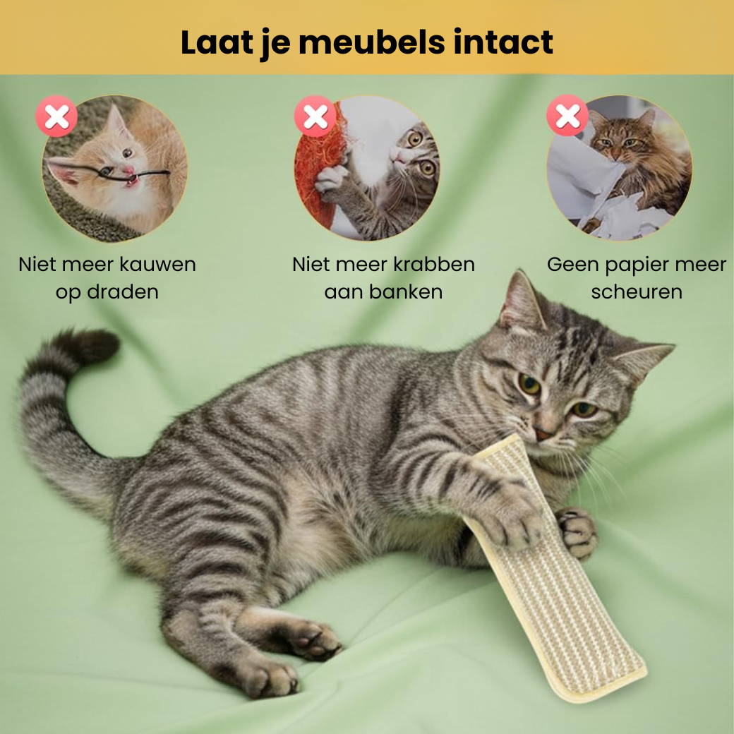 Katten Speel & Bijt Kussen - Set van 3 stuks