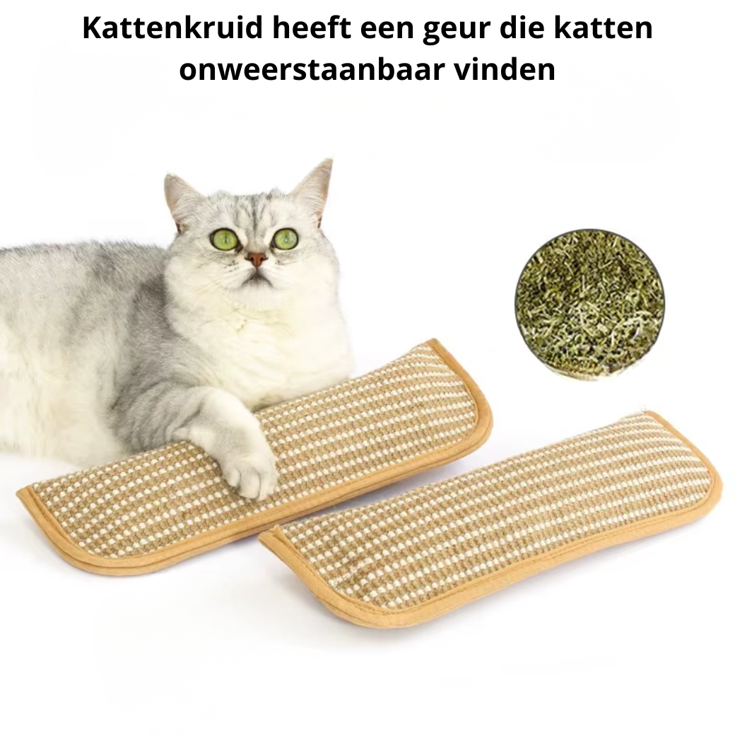 Katten Speel & Bijt Kussen - Set van 3 stuks