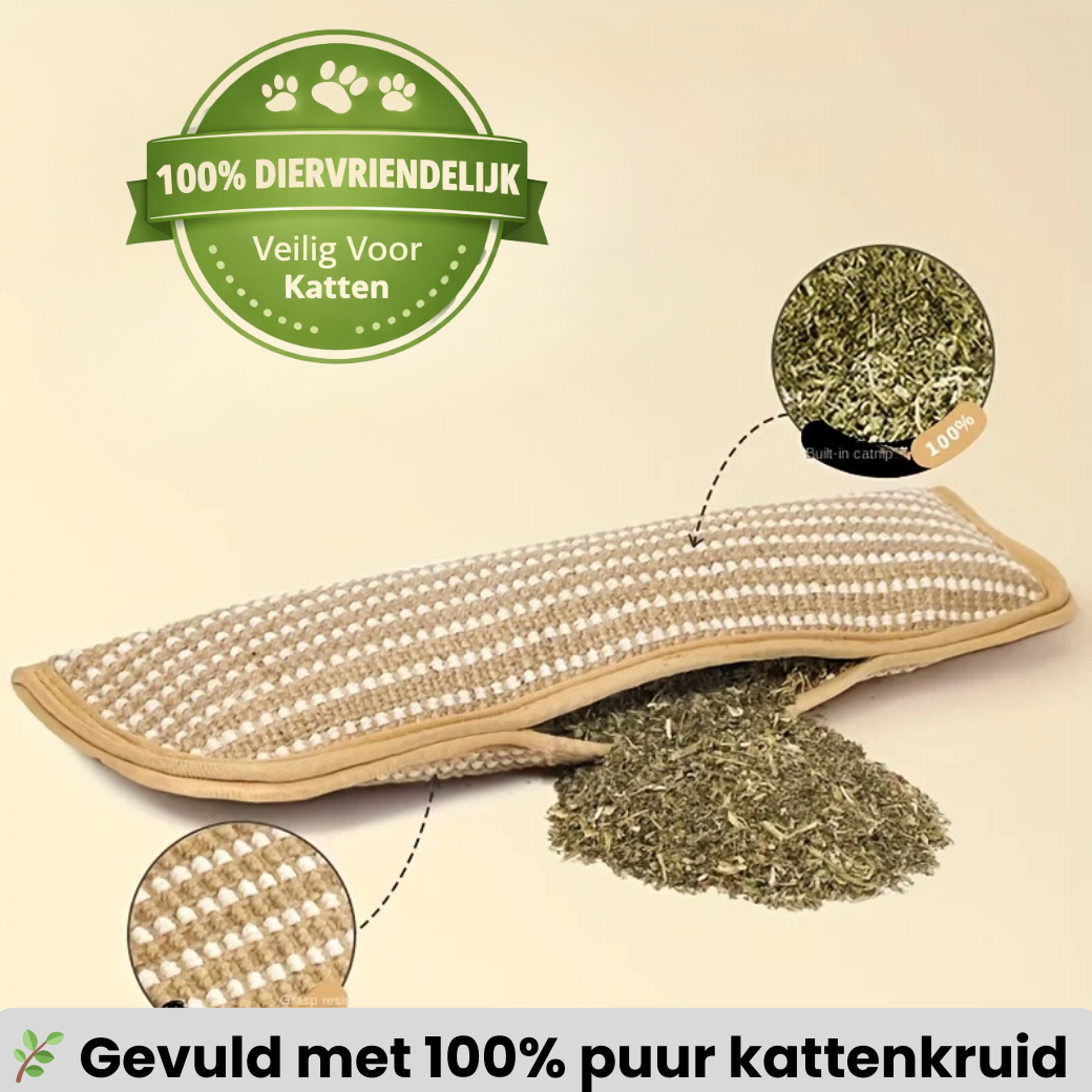 Katten Speel & Bijt Kussen - Set van 3 stuks