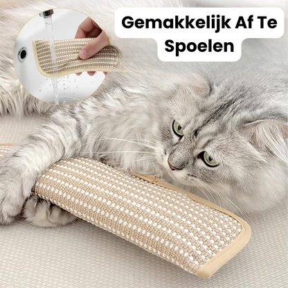 Katten Speel & Bijt Kussen - Set van 3 stuks